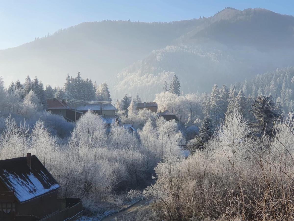 Holiday home Strada Tiszas *