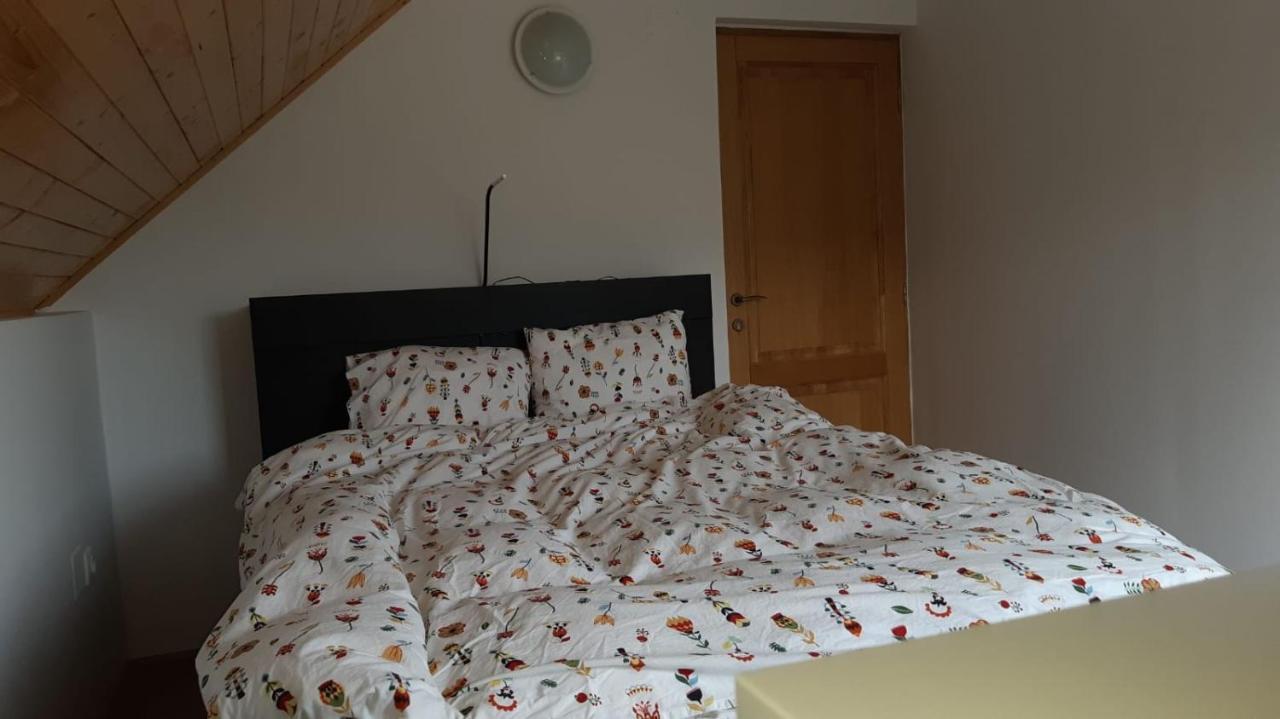 Strada Tiszas Holiday home BaileTusnad