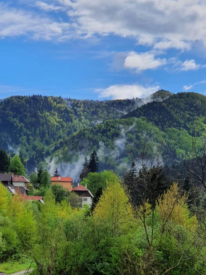 Holiday home Strada Tiszas *