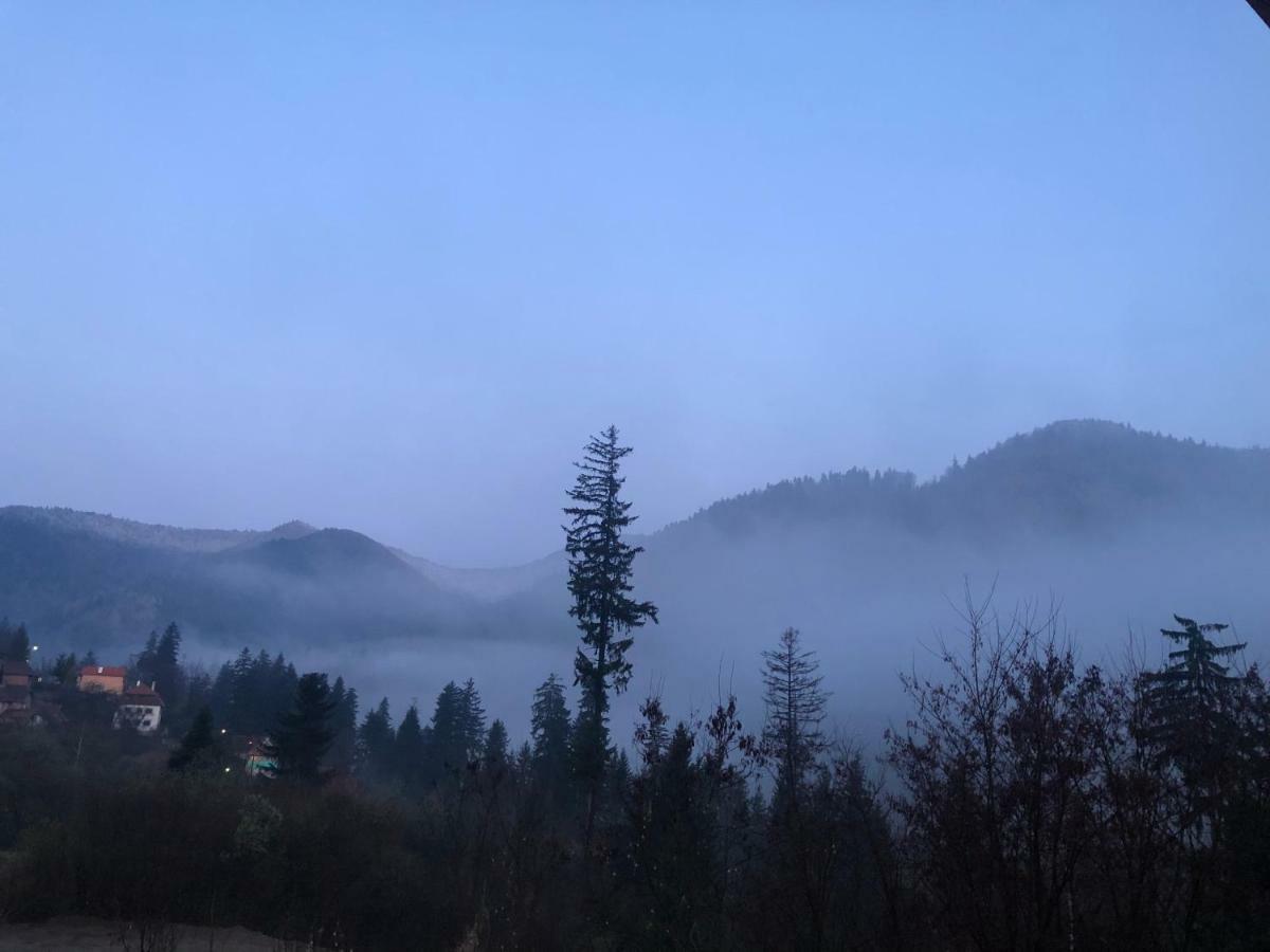 Strada Tiszas BaileTusnad